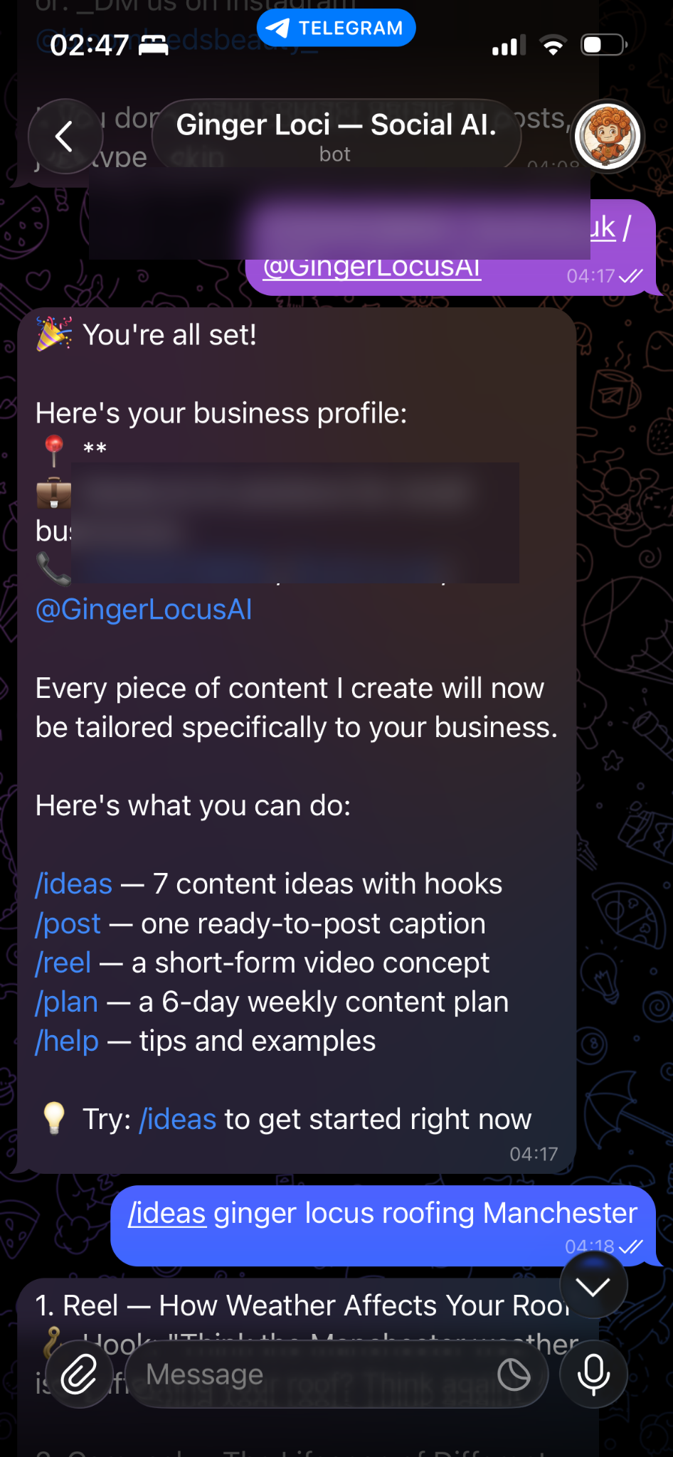 Business profile and command overview screenshot
